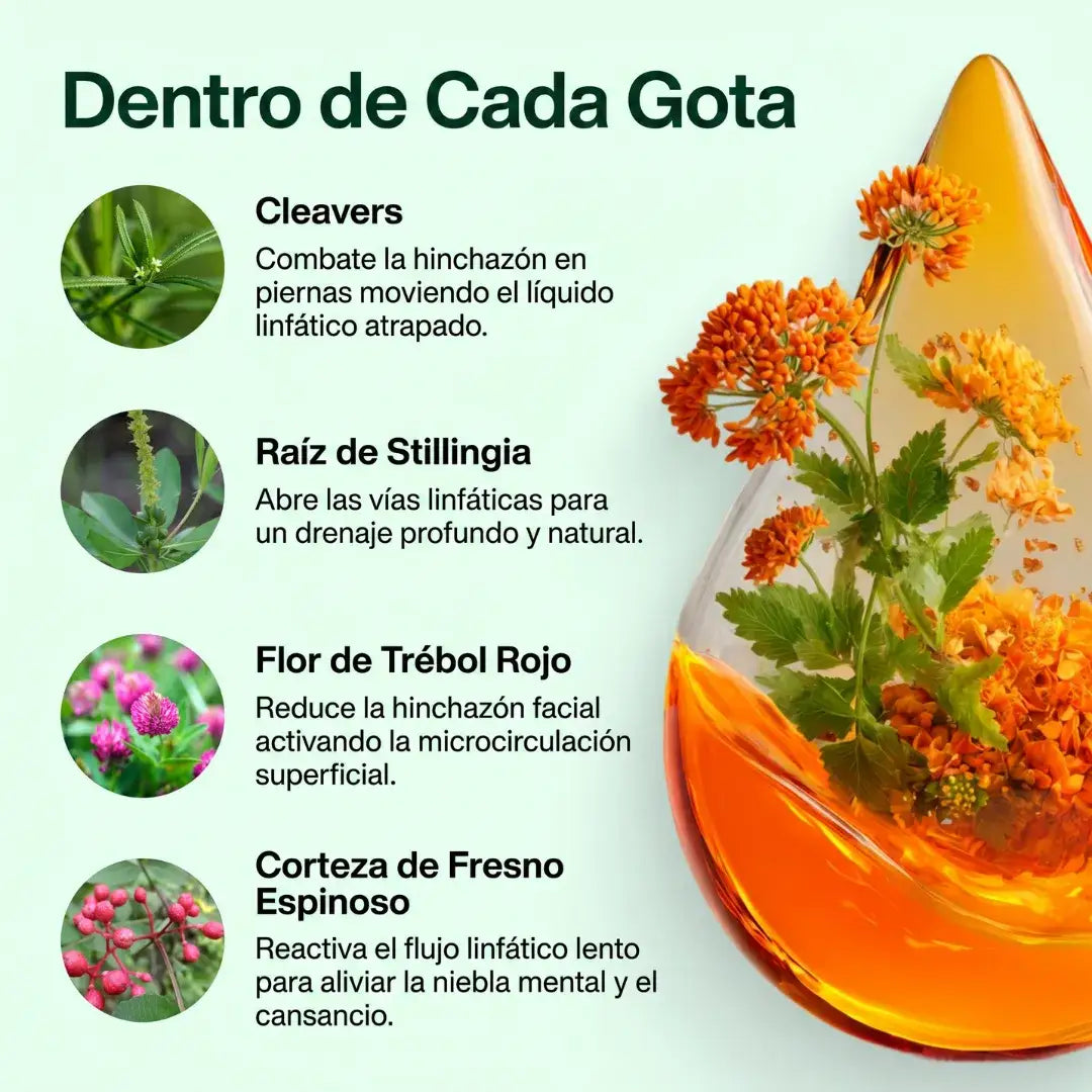 Herbalia® Gotas de Drenaje Linfático