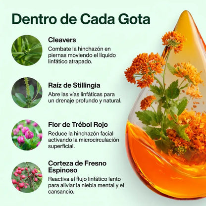 Herbalia® Gotas de Drenaje Linfático